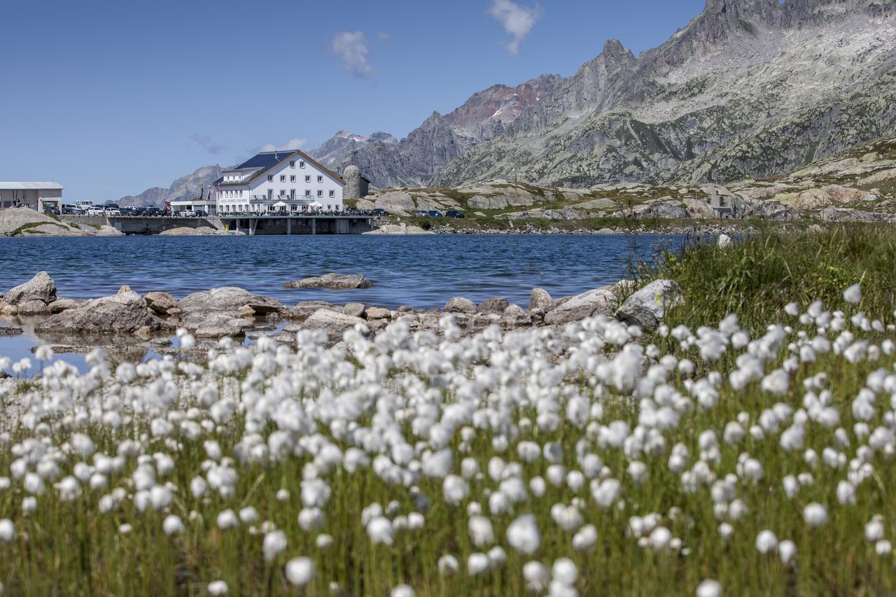 Hotel Grimsel Passhoehe Oberwald Extérieur photo